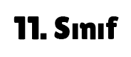 11.Sınıf