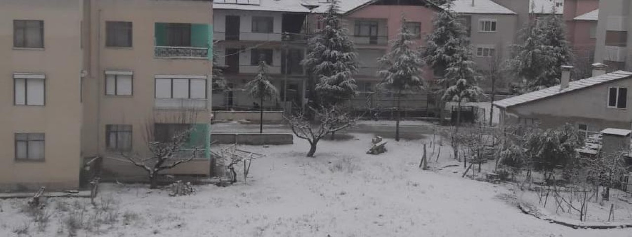 Başar Öz