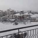 Başar Öz