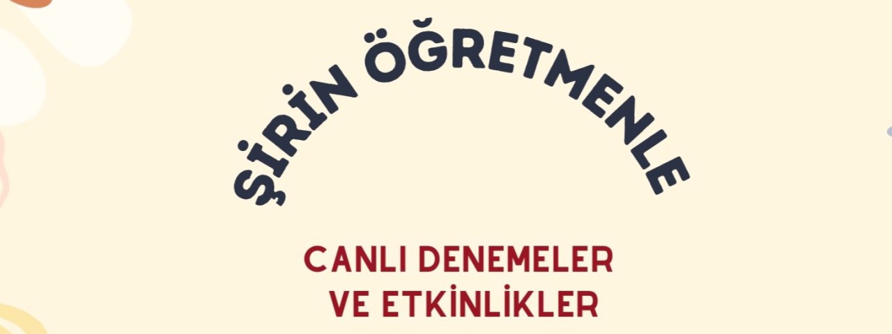 Mehmet Şirin Işık