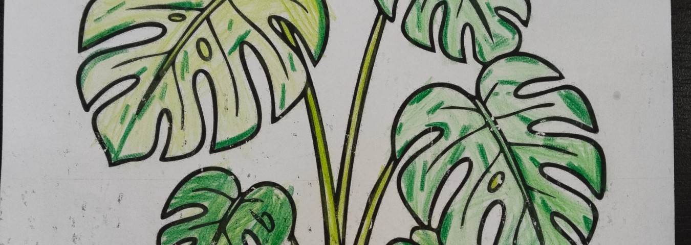 Gizem Nur Görünmez