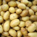 Patates Ögretmen