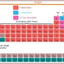 Ayşe Yıldırım Balık