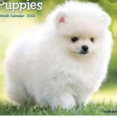 Pembegül Kamilçelebi