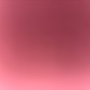 Fikriye Yanıkgönül