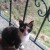 Eylül Demir Eylül Demir