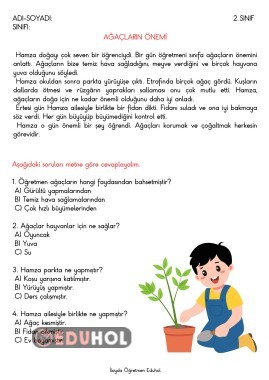Ağaçların Önemi Okuma Anlama Metni