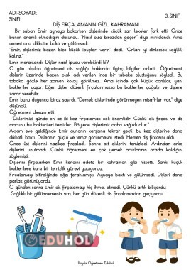 Diş Fırçalamanın Gizli Kahramanı Okuma Anlama Metni