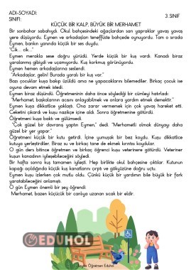 Küçük Bir Kalp, Büyük Bir Merhamet Okuma Anlama Metni