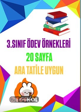 3.SINIF ÖDEV ÖRNEKLERİ🌟✅️✨️