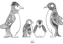 P Sesi Penguen Ailesi Mandala