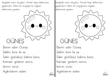 Ş Sesi Defter Dikte Ödevi