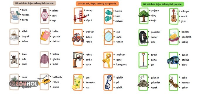 Görsele bak - doğru kelimeyi bul