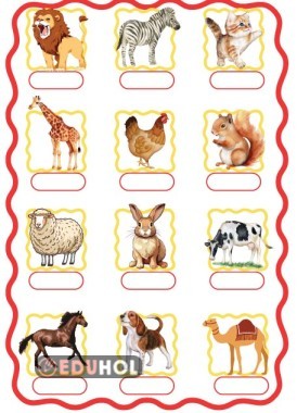 Hayvanlar - Görsel Dikte Çalışması