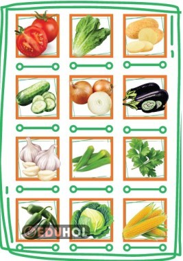 Sebzeler görsel dikte çalışması