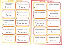 Soru - Cevap