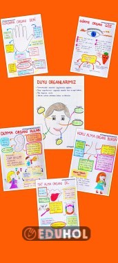 DUYU ORGANLARIMIZ DEFTER NOTU