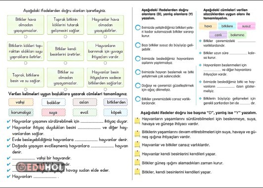 2.SINIF HAYAT BİLGİSİ 