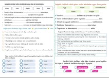 4.SINIF SOSYAL BİLGİLER (Bireyler Arası Farklılıklar)-2