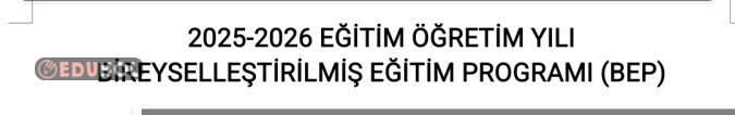 Otizm bep