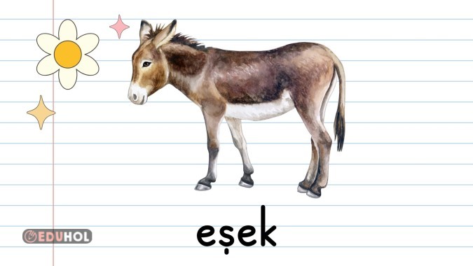 E Sesi Görselleri Sunumu