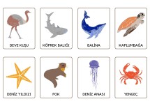 HAYVANLAR BUL EŞLEŞTİR KART