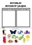 HAYVANLAR İNTERAKTİF DEFTER