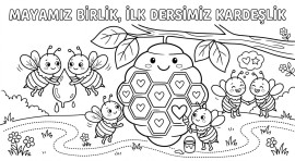 mayamız birlik ilk dersimiz kardeşlik