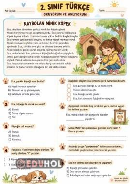 2. Sınıf okuma anlama