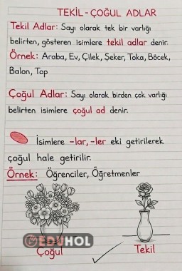 Tekil - Çoğul Adlar 1.sınıf Defter Notu