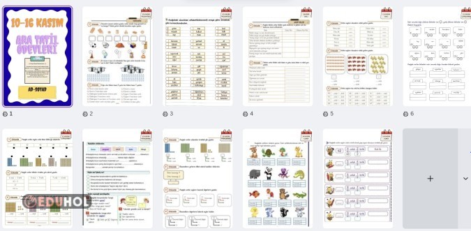 2. Sınıf Kasım Ara Tatil Ödevi