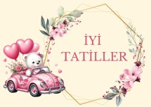 kızlar için karne kılıfı