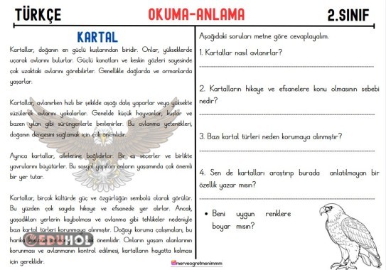 2.SINIF OKUMA ANLAMA METNİ-KARTALLAR-