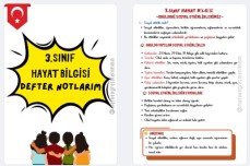 3.SINIF HAYAT BİLGİSİ OKULDAKİ SOSYAL ETKİNLİKLERİMİZ