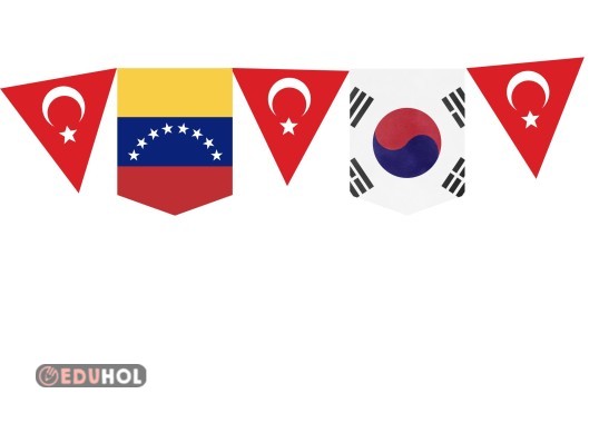 Ülke bayrakları ve Türk bayragi