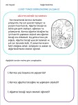 1.Sınıf Türkçe Sene Sonu Genel Değerlendirme