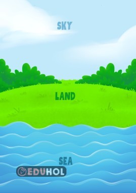 Sorting Animals Activity Pages