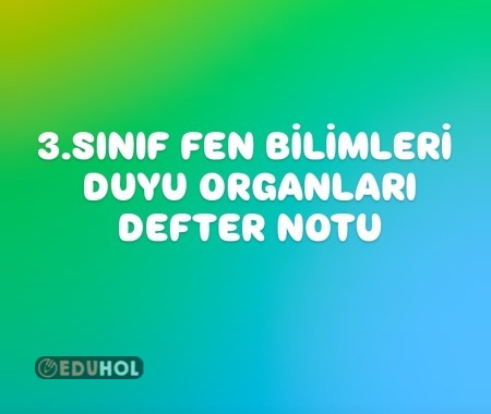 3.SINIF FEN BİLİMLERİ DUYU ORGANLARI DEFTER NOTU