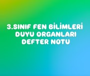 3.SINIF FEN BİLİMLERİ DUYU ORGANLARI DEFTER NOTU