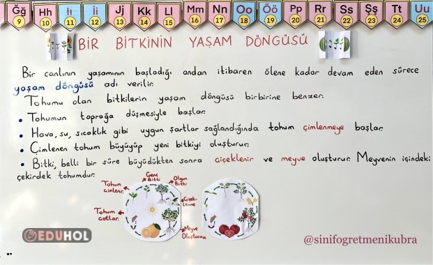 3. Sınıf 25. Hafta Ders Notları