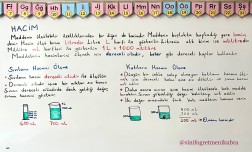 4. Sınıf 16. ve 17. Hafta Ders Notları