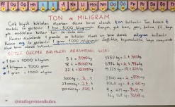 4. Sınıf 33. Hafta Ders Notları