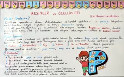 4. Sınıf 6. Hafta Ders Notları