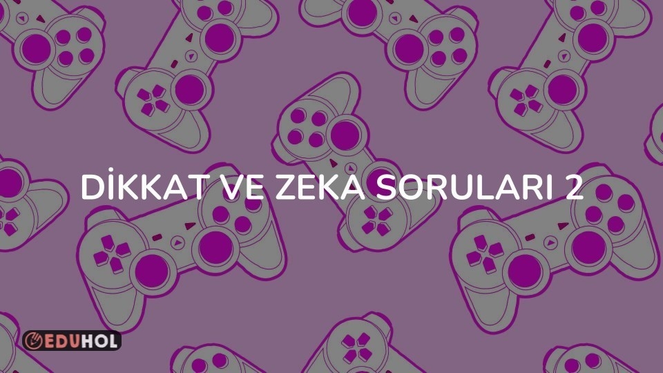 Dikkat ve Zeka Soruları - Aşırı Dikkat İster