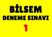 Yeni - Bilsem Deneme Sınavı 1