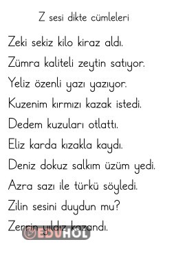 Z sesi dikte cümleleri