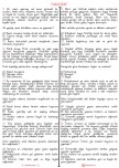 Paragraf Çalışma Kağıdı
