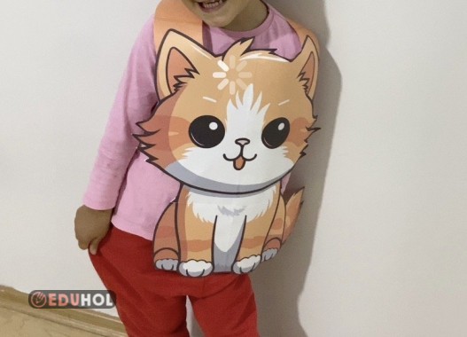 K harfi kedi posteri