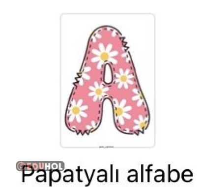 Papatyalı alfabe