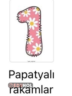 Papatyalı rakamlar